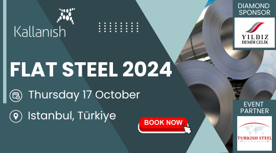 Flat Steel 2024